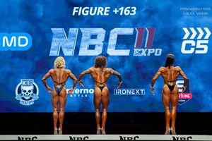 FIGURE +163